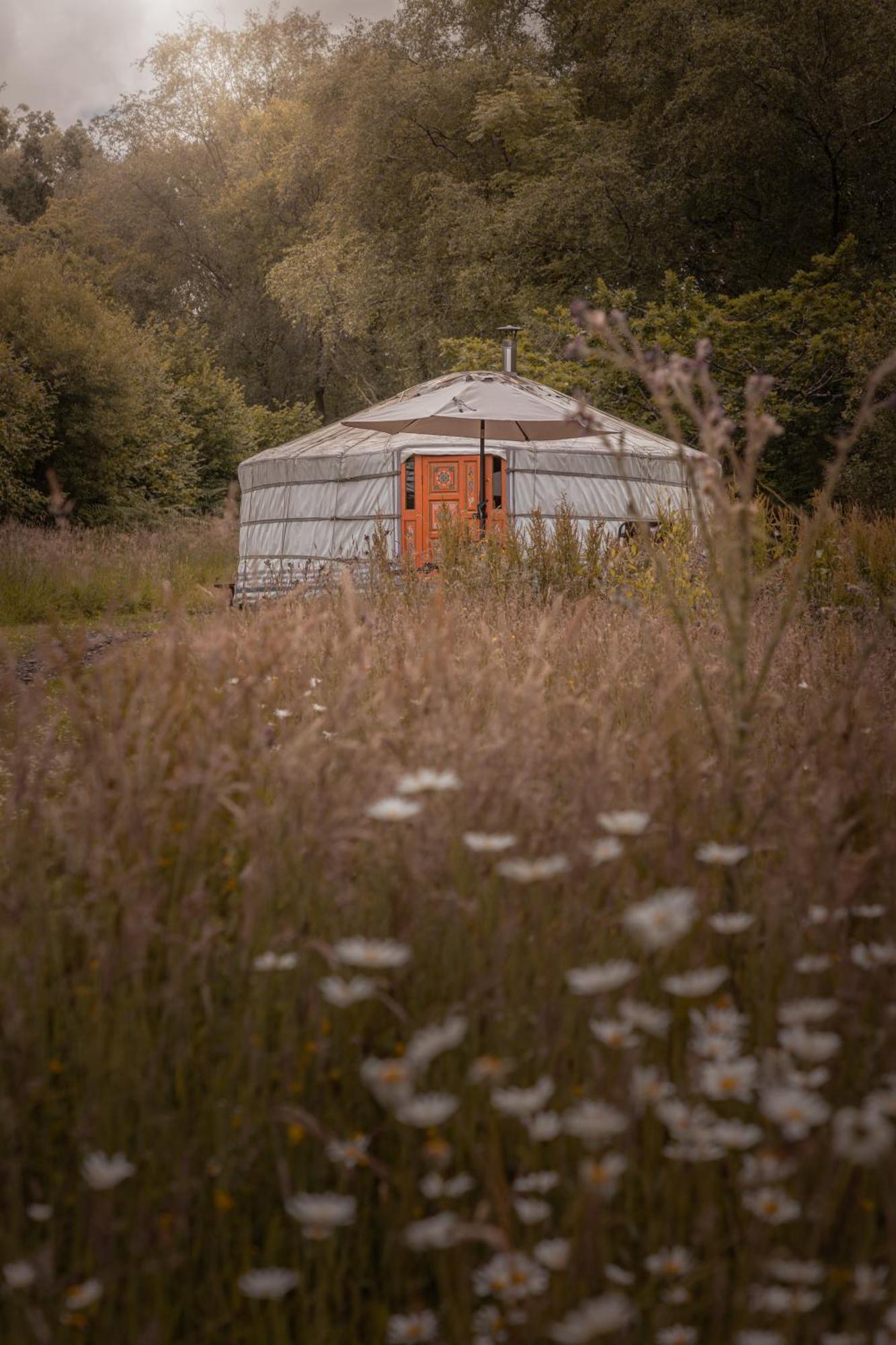 Gilfach Gower Farm Luxury Yurt With Hot Tub Otel Ammanford Dış mekan fotoğraf